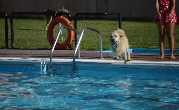 Ponferrada inicia la obra de reparación urgente en el vaso de la piscina grande de Flores del Sil