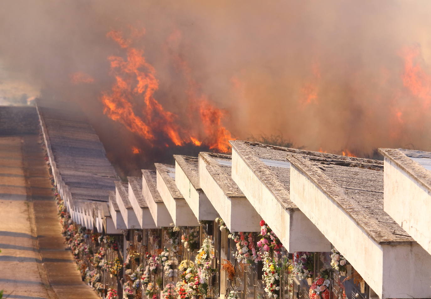 Incendio forestal en las inmediaciones del cementerio de Ponferrada