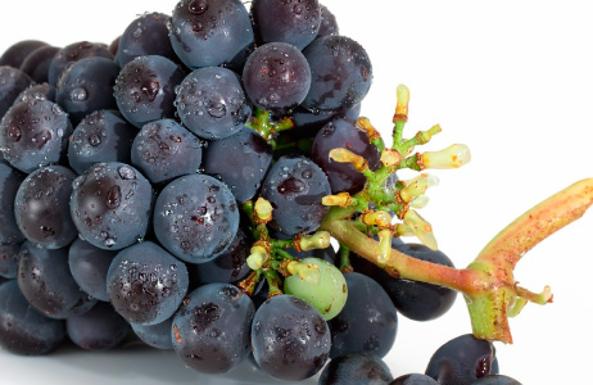 El Museo de la Energía y Bierzo Enoturismo lanzan el ciclo 'Mencía o garnacha' para incentivar el conocimiento de las uvas y los vinos de la comarca