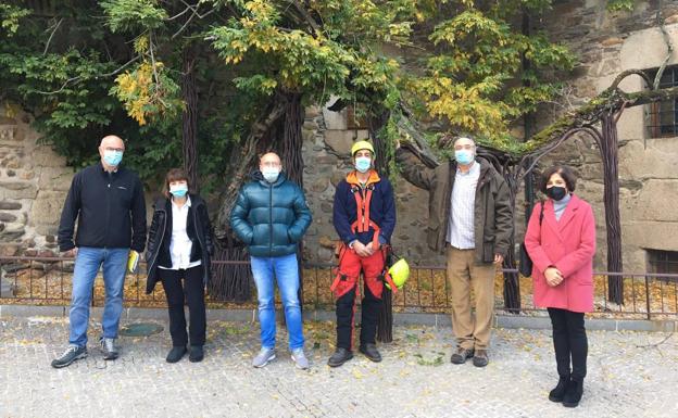 El prestigioso botánico Bernabé Moya dirige las labores de mantenimiento de de la glicinia del Museo de la Radio en Ponferrada./