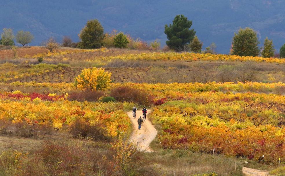 Los retos del Bierzo para el 2021