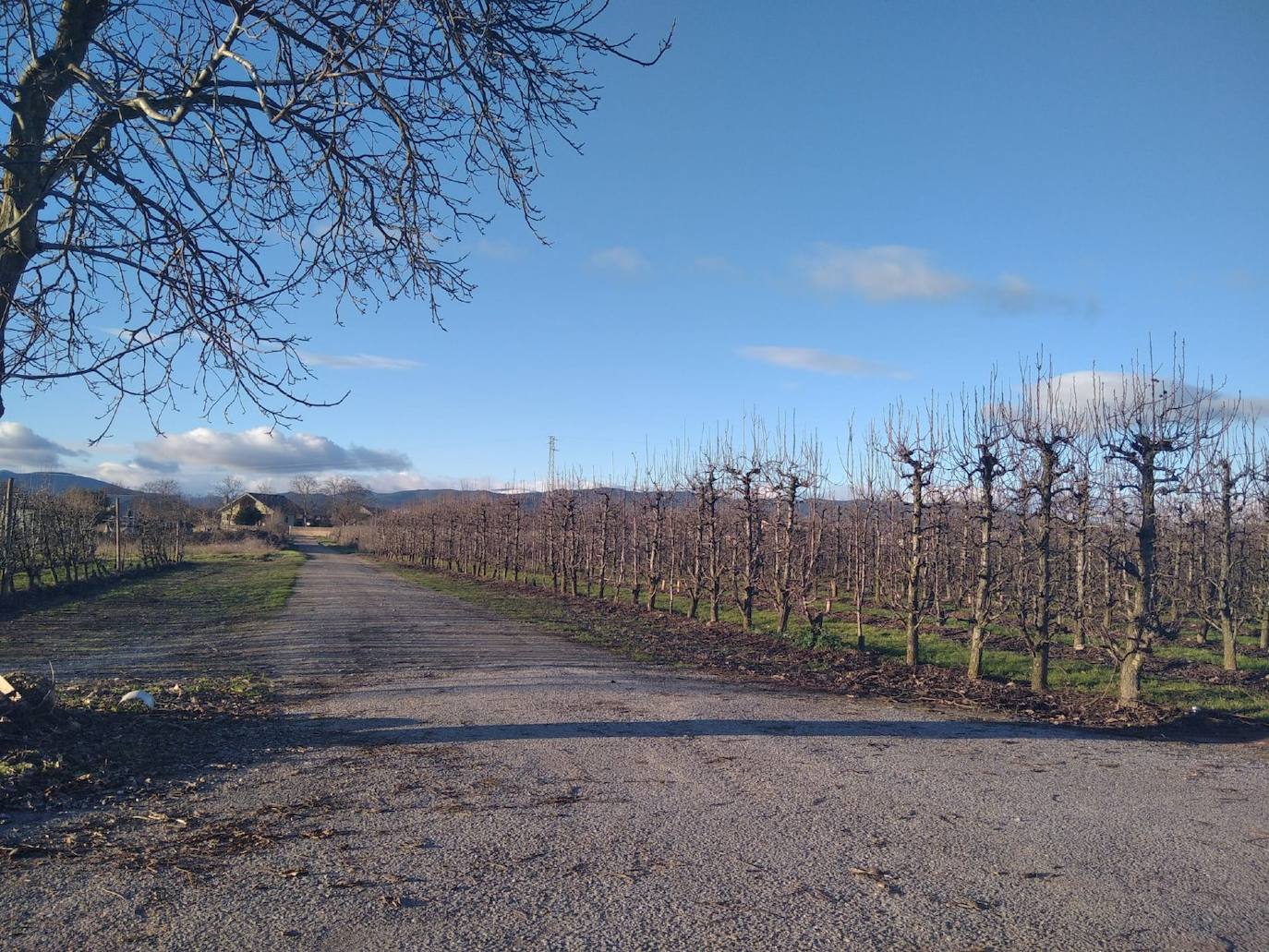 El PSOE de Carracedelo advierte de la «intención recaudatoria» de las nuevas normas subsidiarias del Ayuntamiento