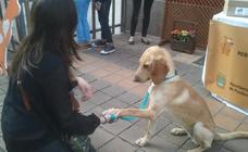 Ponferrada defiende la ampliación y mejora de los espacios libres para mascotas y asegura que seguirá siendo 'dog friendly'