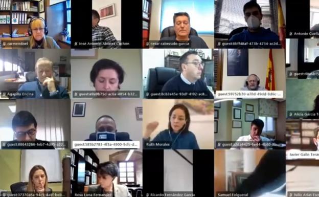 El pleno del Consejo insta a la Junta a restablecer el servicio de pediatría en Toreno y Puente de Domingo Flórez