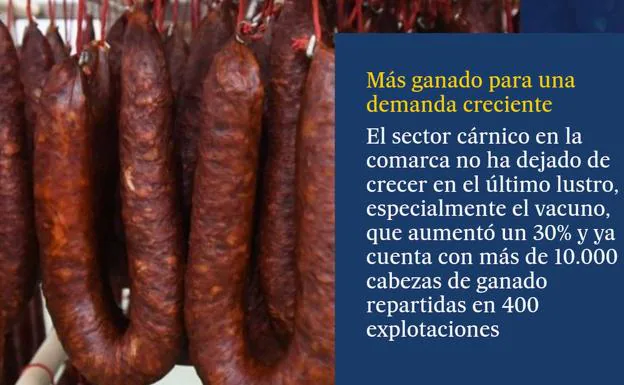 El Bierzo protagoniza en 'El País' la sección 'Un futuro cercano' sobre el potencial agroalimentario de la comarca