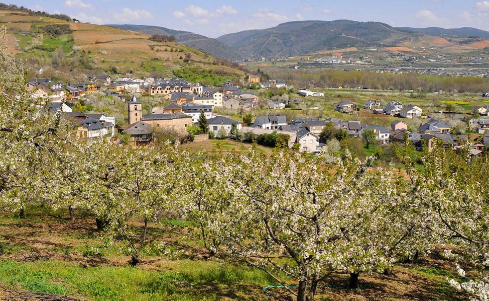 La primavera se adelanta en Corullón