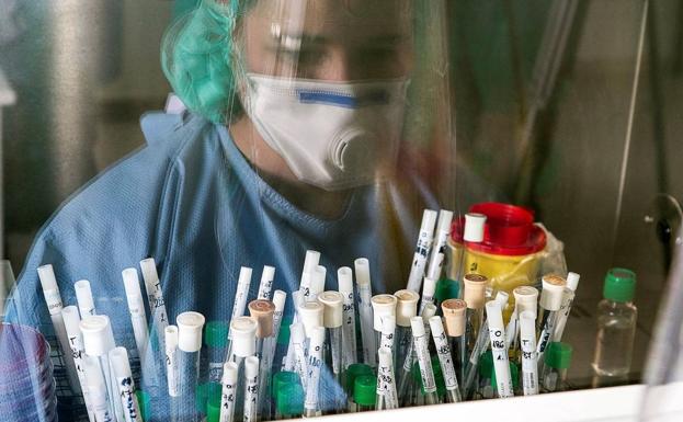 1.239 sanitarios han dado positivo por covid en León, la mayoría enfermeros, auxiliares sanitarios y médicos