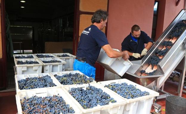 La bodega berciana Pittacum exporta cuatro de cada diez botellas a países como China, Canadá, Reino Unido y Austria