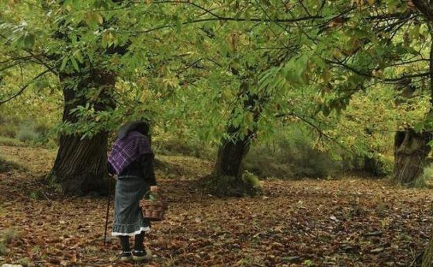 Vega de Espinareda acoge un curso para mayores de 55 sobre cuidado de recursos naturales y forestales