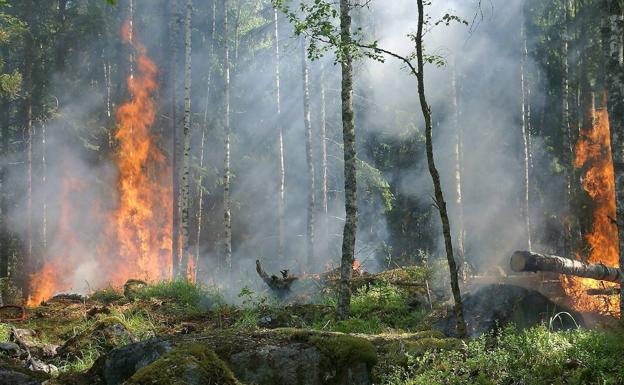 El Campus de Ponferrada analiza en una jornada el seguimiento remoto de cambios y daños en los bosques