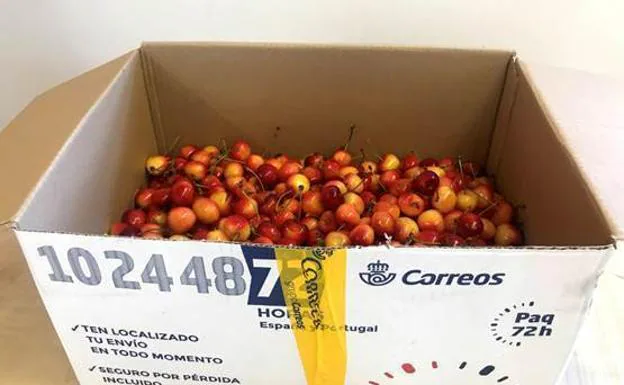 Correos pone en marcha la campaña especial para el envío de cerezas desde El Bierzo y Villablino