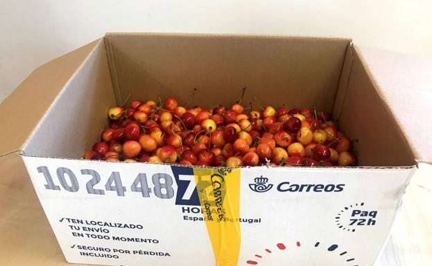 Correos finaliza el jueves la campaña especial de envío de cerezas desde el Bierzo y Villablino