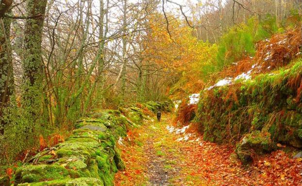 La muestra de la Reserva de la Biosfera de los Ancares Leoneses se traslada el viernes a Peranzanes