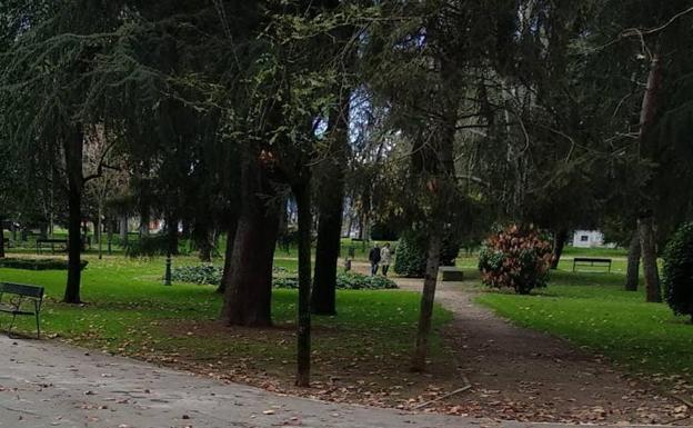 Ponferrada realizará en la madrugada de este jueves tratamientos fitosanitarios al arbolado en la noche de este jueves