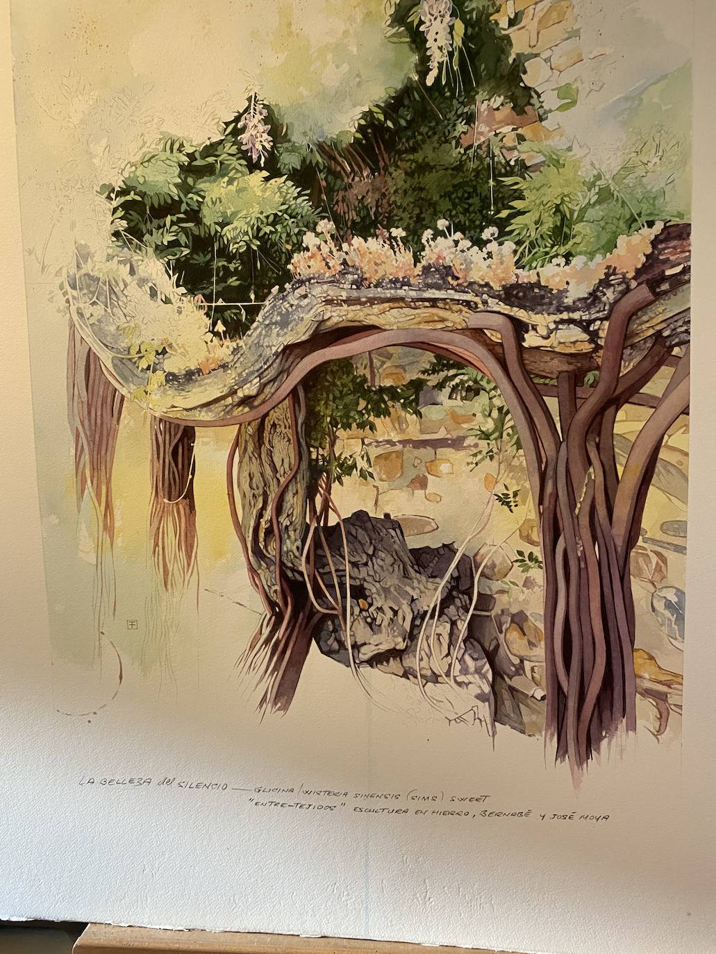 Fernando Fueyo hace inmortal la glicinia