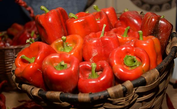 El Consejo retoma las Rutas por la Calidad del Bierzo con un recorrido dedicado al pimiento