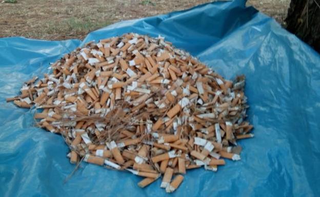 Proyecto Orbanajo y Clowncolillas convocan una jornada de limpieza de colillas por la zona baja de Ponferrada