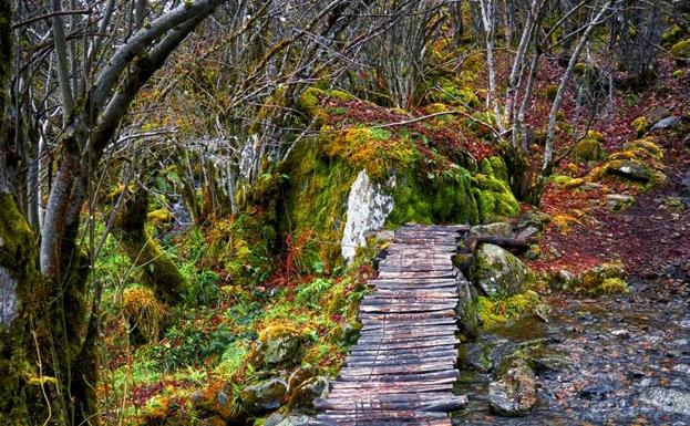 El Museo de la Energía inaugura la exposición de fotografías de la 3ª edición del concurso de la RBALE