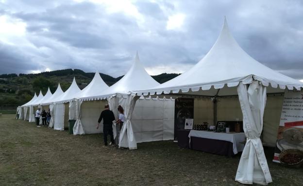 La Fiesta de la Cosecha «llega para quedarse»