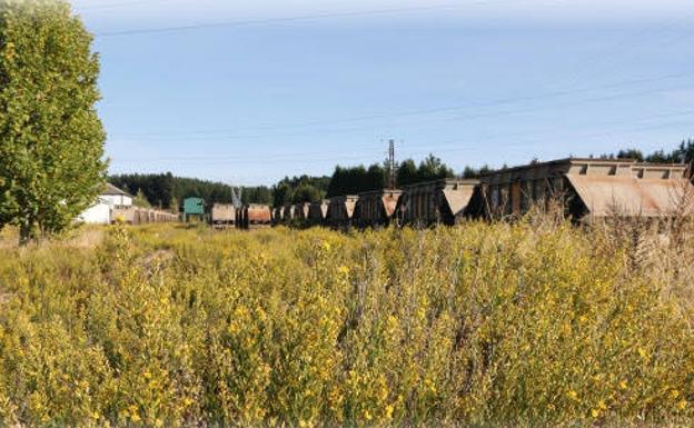 Organizan una hacendera en Cubillos del Sil para desbrozar el entorno de la estación