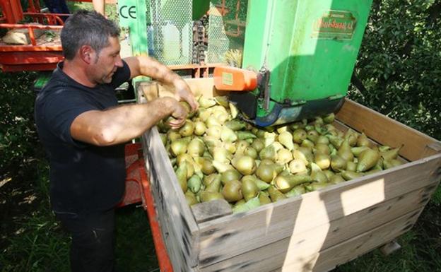 CB reprocha a Carnero que «hurte al Bierzo» el Parque Agroalimentario al dejarlo en manos de las administraciones locales