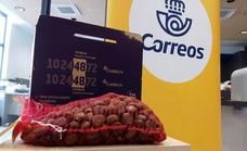 Correos reanuda su campaña para el envío de castañas en la comarca del Bierzo
