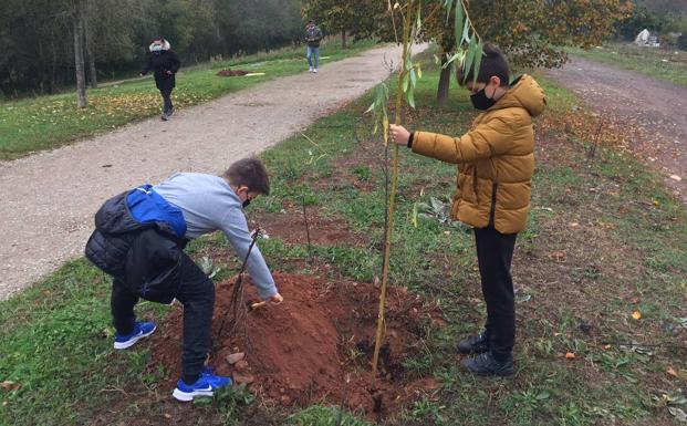 Cinco centros educativos de Ponferrada se suman al programa de plantaciones participativas