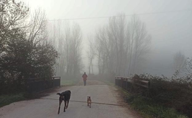 Un manto de niebla cubre El Bierzo