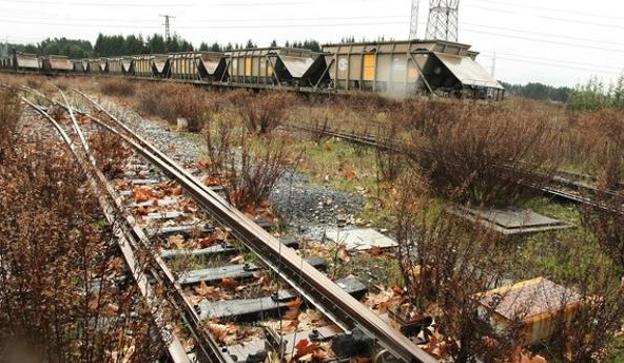 La Junta saca a subasta 120 vagones tolva del Ponfeblino con un precio de salida de más de tres millones