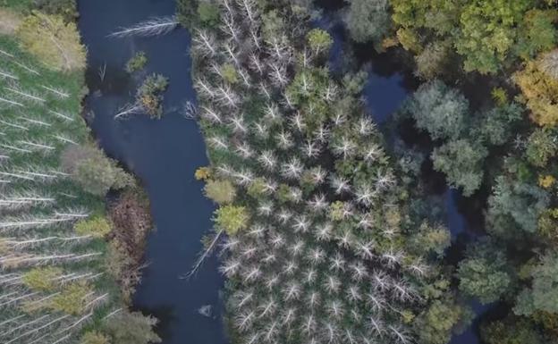 El Bierzo, destino turístico esencial