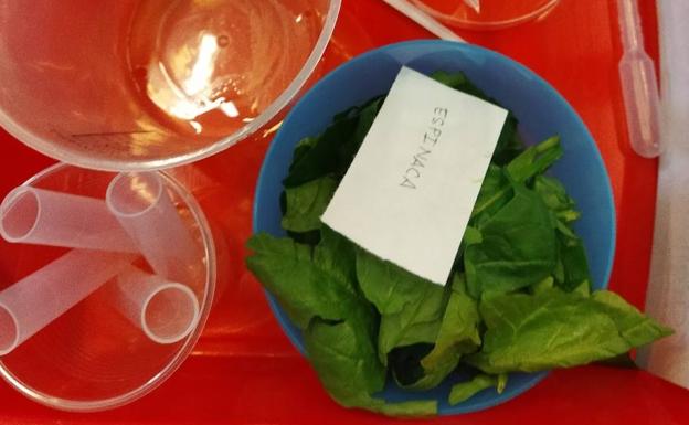 El Museo de la Energía de Ponferrada organiza sendos talleres de elaboración de encurtidos y de aguinaldos