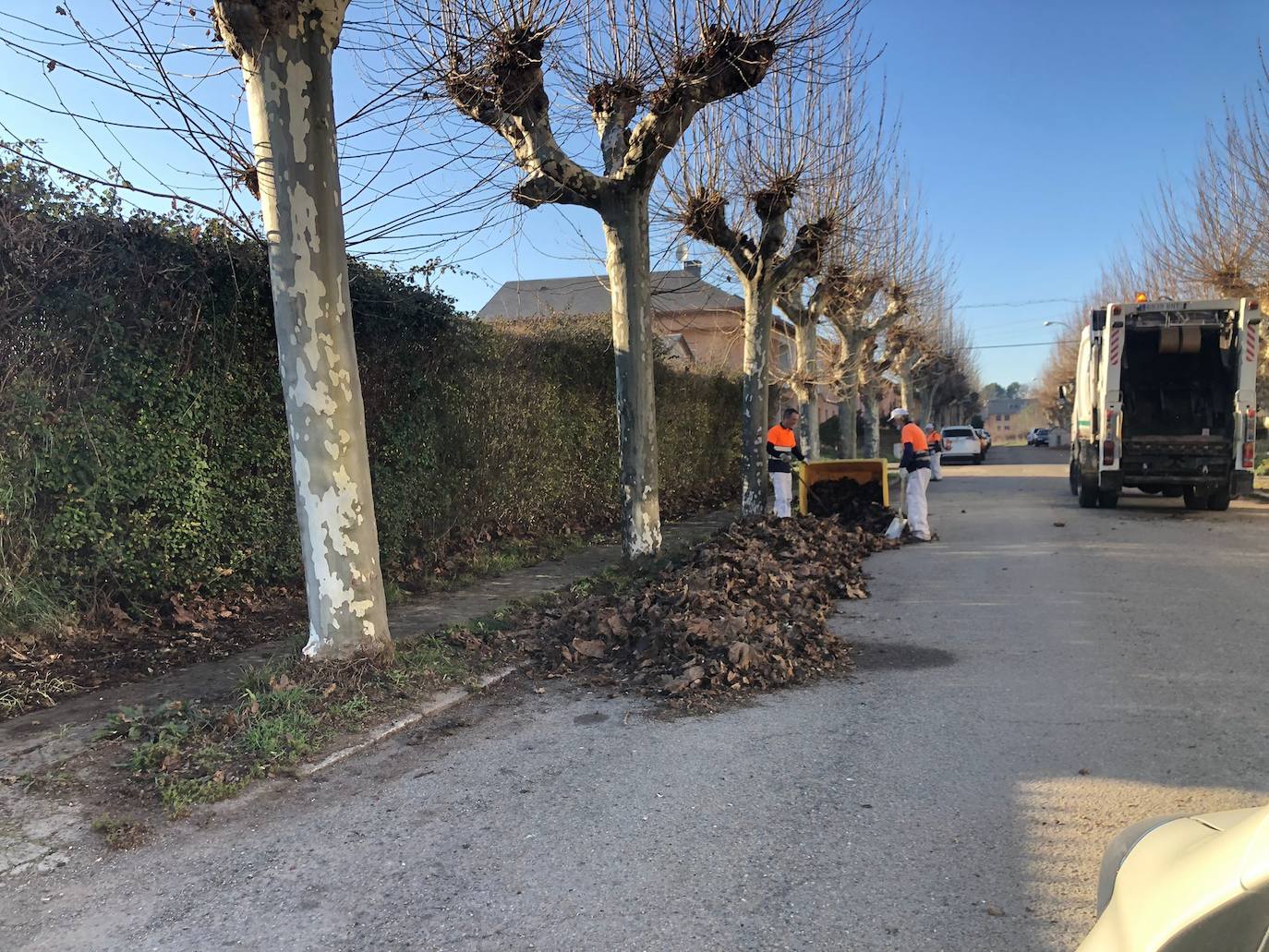 Ponferrada retira las hojas secas acumuladas en varias zonas de la ciudad
