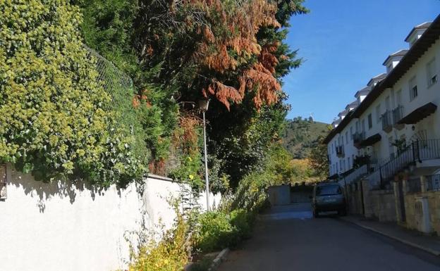 El PSOE de Villafranca denuncia el abandono de las calles del Pino y Primitivo Álvarez Armesto