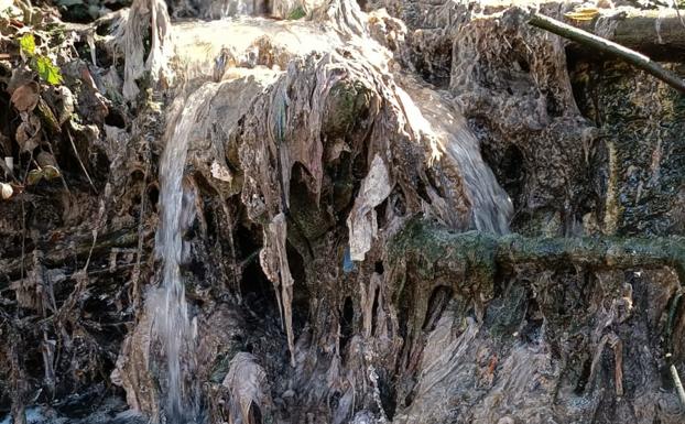 La plataforma Salvemos El Pelgo denuncia un vertido de aguas fecales en el río Burbia Villafranca del Bierzo