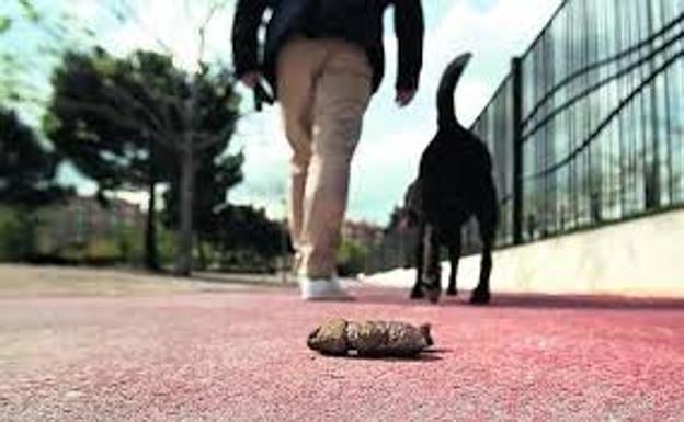 La Policía de Ponferrada denuncia a 16 personas en una semana por no recoger los excrementos de sus perros