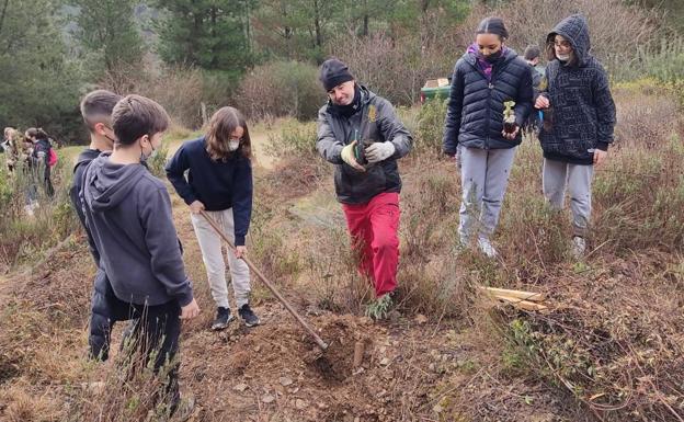 Alumnos del IES Gil y Carrasco plantan 300 árboles en una parcela del Pajariel destruida por el fuego