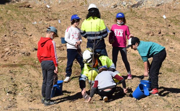 Escolares del Bierzo participan en la repoblación de la cantera de Cosmos en Corullón