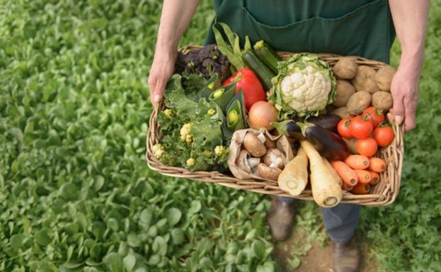 El Banco de Tierras del Bierzo abre el plazo de inscripción para el segundo curso de iniciación a la agricultura