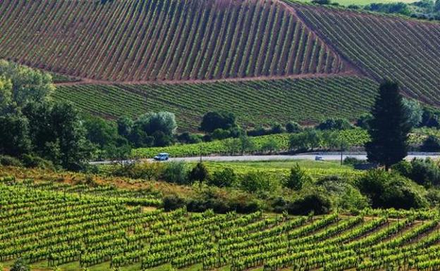 Ecoturismo en el Bierzo, un reclamo que gana adeptos y llama la atención de la revista Hola