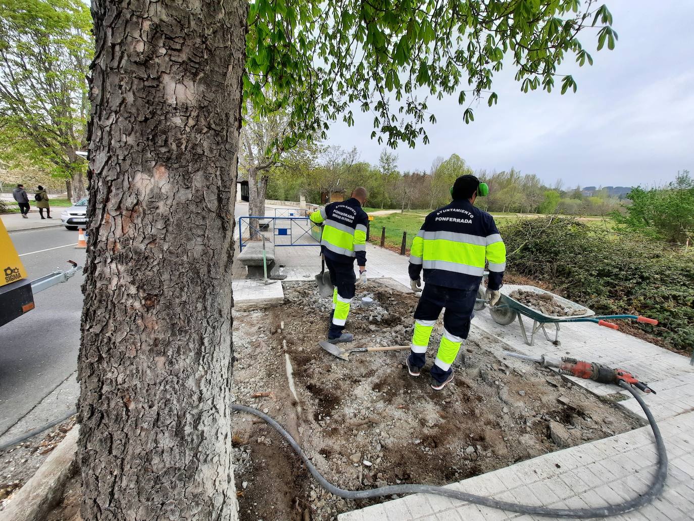 Ponferrada acomete la reparación de baldosas, hundimientos y alcorques en varias zonas de la ciudad