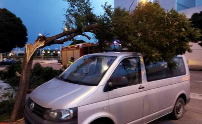La tormenta deja un herido al caer un árbol en su coche mientras circulaba por Santalla y multiplica los servicios de los bomberos de Ponferrada