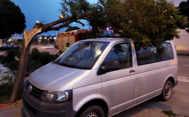 La tormenta deja un herido al caer un árbol en su coche mientras circulaba por Santalla y multiplica los servicios de los bomberos de Ponferrada