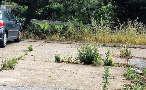 El PP de Cubillos exige labores de limpieza y mantenimiento de espacios públicos en Fresnedo