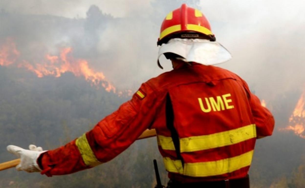 Efectivos de la UME trabajan en las labores de extinción del incendio de Folgoso de la Ribera (León)