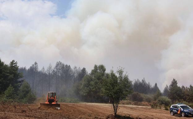 El Consejo del Bierzo reclama mantener los operativos preventivos durante el invierno para evitar los incendios en verano