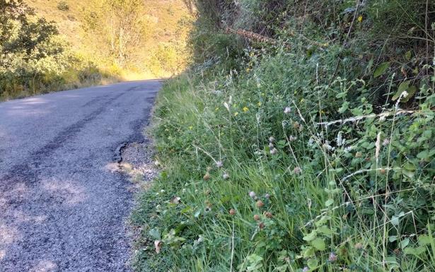 El PP de Vega de Espinareda reclama a Diputación «celeridad» en los trabajos de mejora de la carretera de Burbia