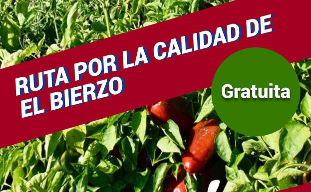 El Consejo abre la inscripción para la Ruta del Pimiento del próximo domingo