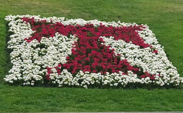 Ponferrada renueva con flores de invierno los parques y parterres y repartirá plantas entre los vecinos