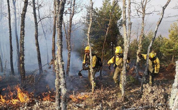 Un fuego intencionado en Carracedelo calcina una zona de matorral