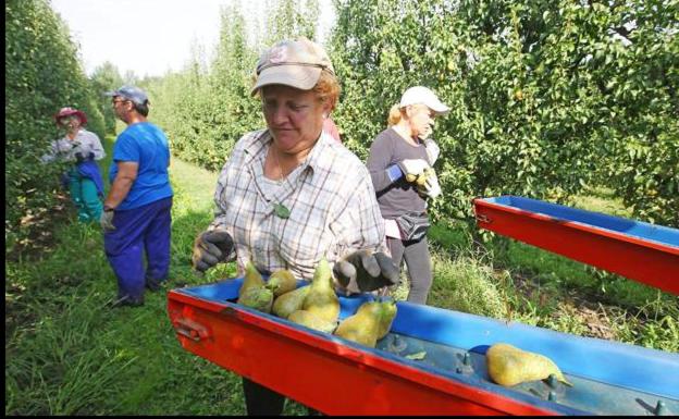 El PSOE del Bierzo lamenta la «promesa incumplida» de la Junta respecto al parque agroalimentario